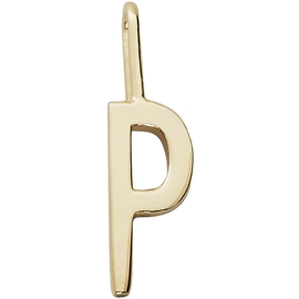Archetype Charm GOLD Plated str. P