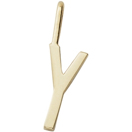 Archetype Charm GOLD Plated str. Y