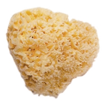 Natural Bath Sponge Small