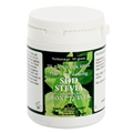 Stevia grön