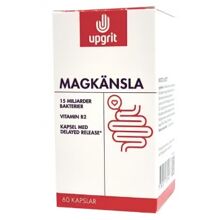 Upgrit Magkänsla Mjölksyrabakterier 60 kapslar