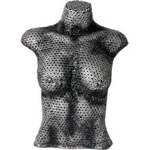 Female Torso 1