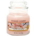 Jar Cherry Blossom