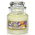 Jar Wild Passion Fruit