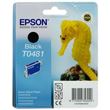  Epson Ink T0481 Black C13T04814010