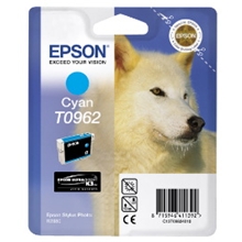  Epson T096 CYAN CARTRIDGE C13T09624010