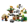 Safari