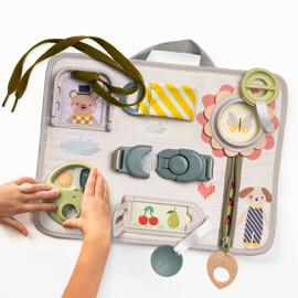 Taf Toys Snap'n Learn Board