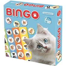Bilde av Bingo Katter