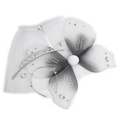 Dream Girl Angel Princess Wings Set