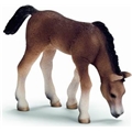 Schleich Arabisk Føll, Beitende