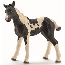 Schleich Ettårig Pintoføll