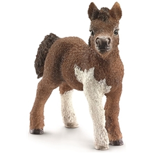 Schleich Shetlandsføll