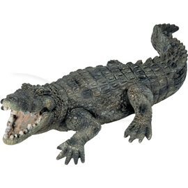Krokodille