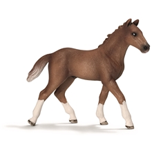 Schleich Hannover Føll