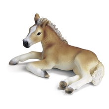 Schleich Haflinger, Føll
