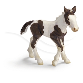 Schleich Tinker, Føll
