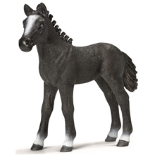 Schleich Lipizzanerføll