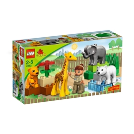 4962 Babyzoo