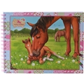 Horses Dreams Malebok