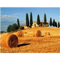 Puslespill 2000 Biter Toscana