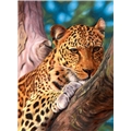 Puslespill 500 Biter Leopard