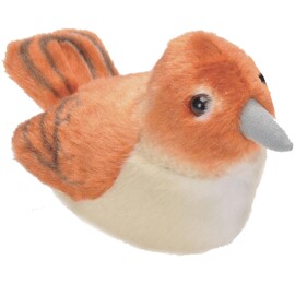 Birds With Sound Nightingale