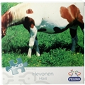 Puslespill 500 Biter Hest