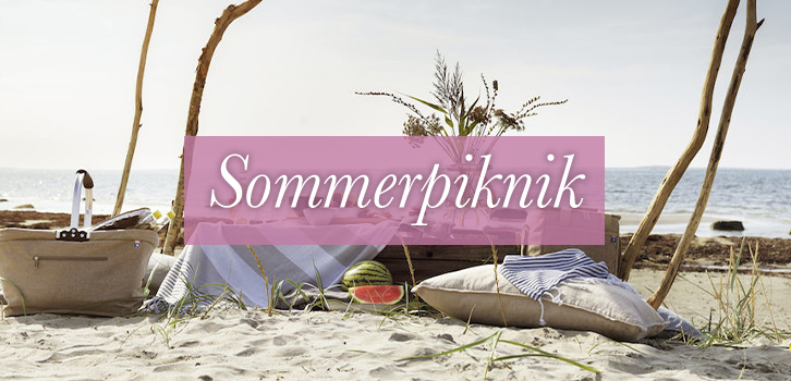 Alt til pikniken!