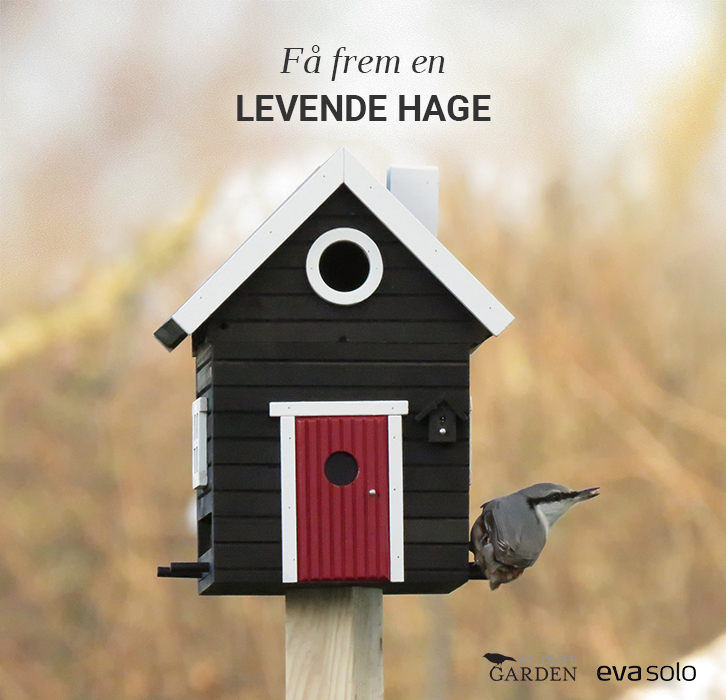 Innred for en levende hage!