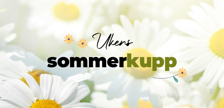 Sommerkupp