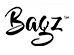Vis alle Bagz
