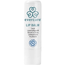 Evercare - Lip Balm