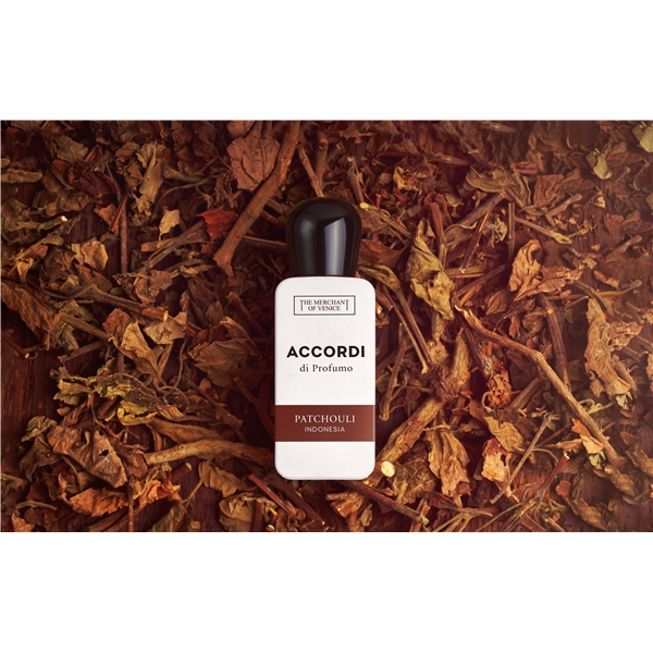 Accordi Di Profumo Patchouli Indonesia - Edp (Bilde 2 av 2)