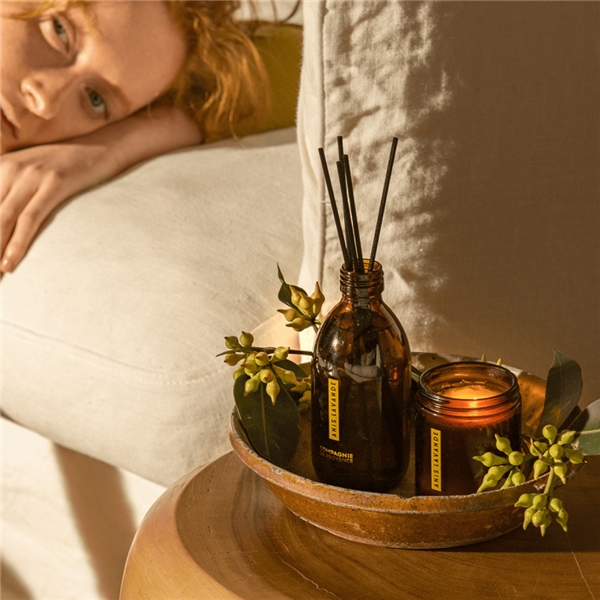 Fragrance Diffuser Anise Lavender (Bilde 3 av 3)