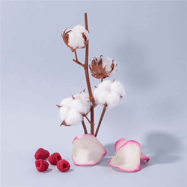 Hand & Body Lotion Cotton Flower (Bilde 2 av 3)