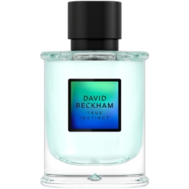 David Beckham True Instinct - Eau de parfum 75 ml
