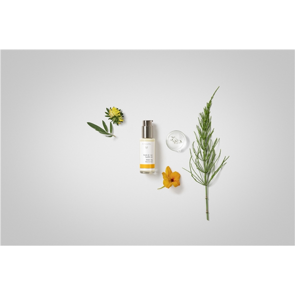 Dr Hauschka Balancing Day Lotion (Bilde 2 av 2)