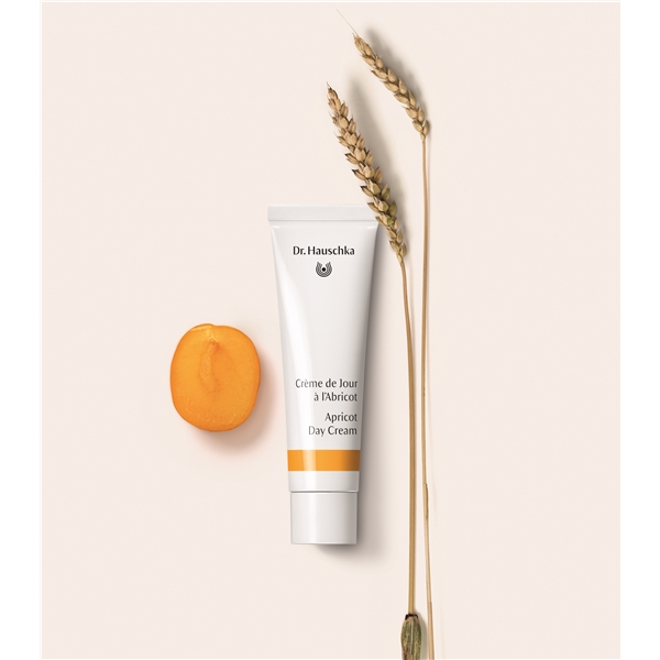 Dr Hauschka Apricot Day Cream (Bilde 3 av 3)