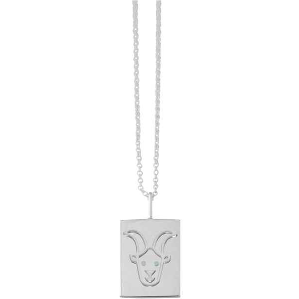 Zodiac by Design Letters - Capricorn (Bilde 1 av 3)