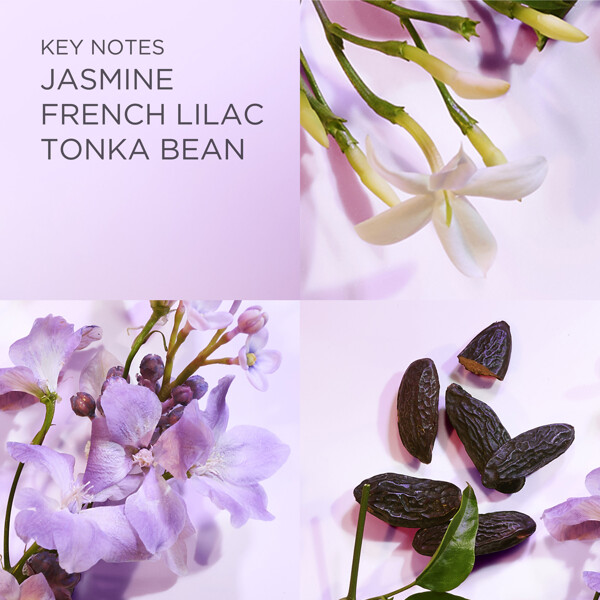 White Tea Eau Lilac - Eau de toilette (Bilde 4 av 8)