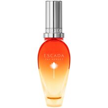 Taj Sunset - Eau de toilette (Edt) Spray