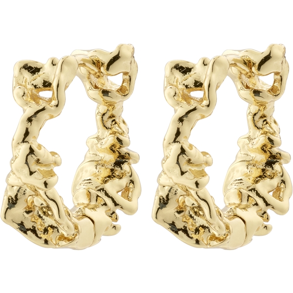 12243-2003 TRUST Hoop Earrings (Bilde 1 av 4)