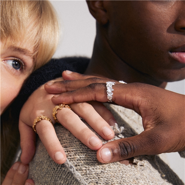 27243-2014 CHARMAINE Rings 2 In 1 Set (Bilde 4 av 4)