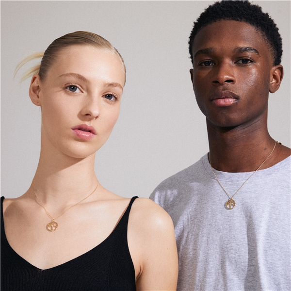 61243-2001 ALIA Necklace (Bilde 3 av 4)