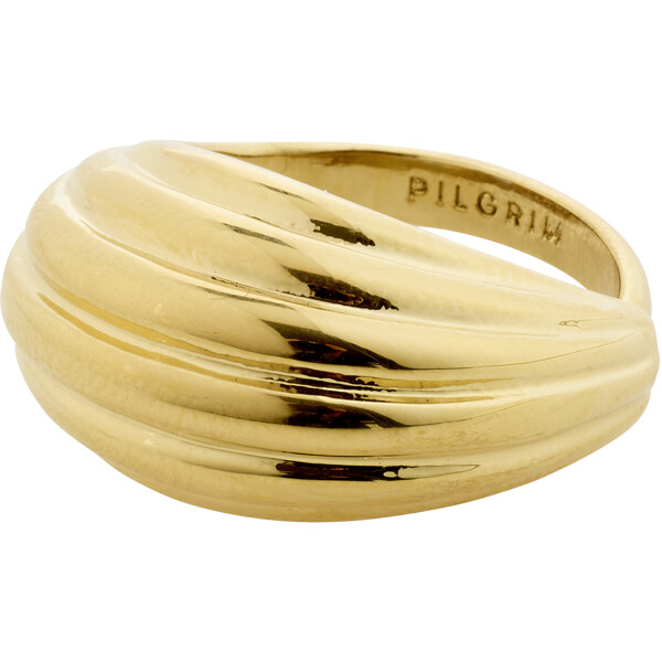 26252-2014 ASLE Ring (Bilde 1 av 3)