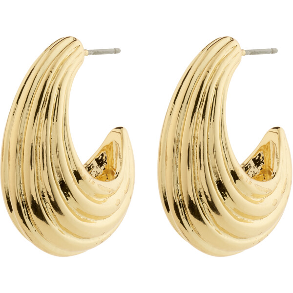 26252-2063 ASLE Earrings (Bilde 1 av 3)