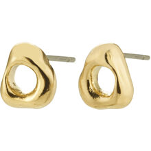 26253-2013 Free Earrings 1 set