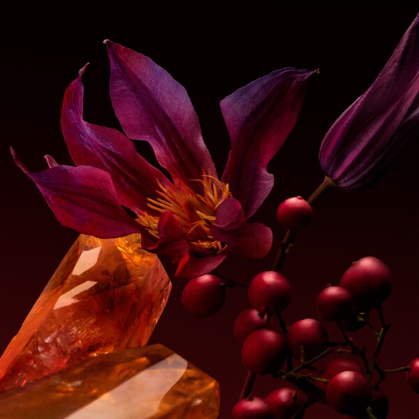 Boss The Scent For Her Elixir - Eau de parfum (Bilde 4 av 7)