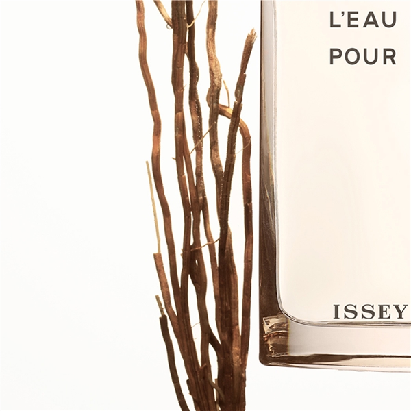 L'eau D'Issey Pour Homme Vetiver - Eau de toilette (Bilde 6 av 10)